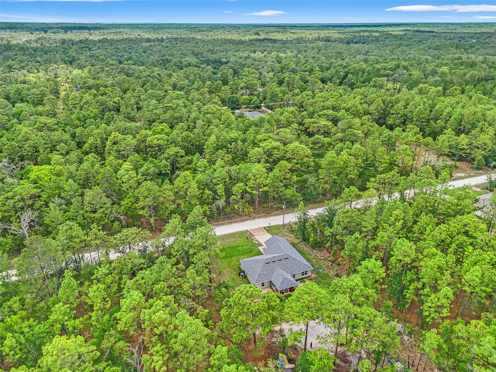 18336 MACEK RD, WEEKI WACHEE, FL, 34614