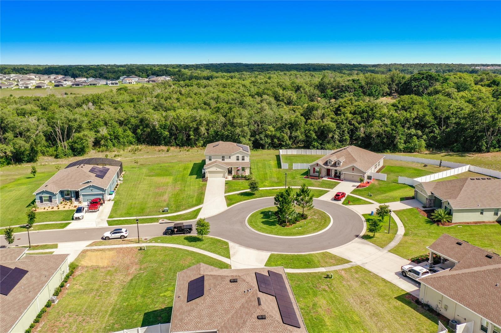 6013 CLAYSTONE WAY, MOUNT DORA, FL, 32757