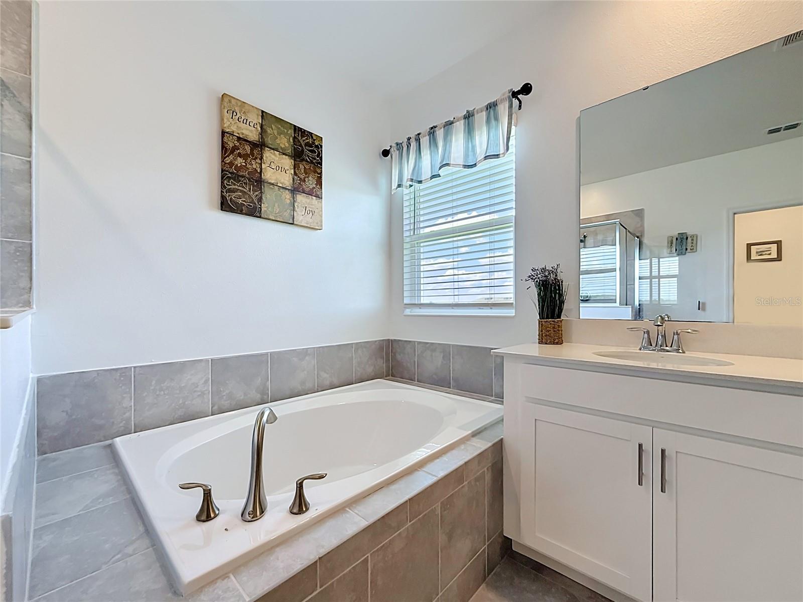 6013 CLAYSTONE WAY, MOUNT DORA, FL, 32757