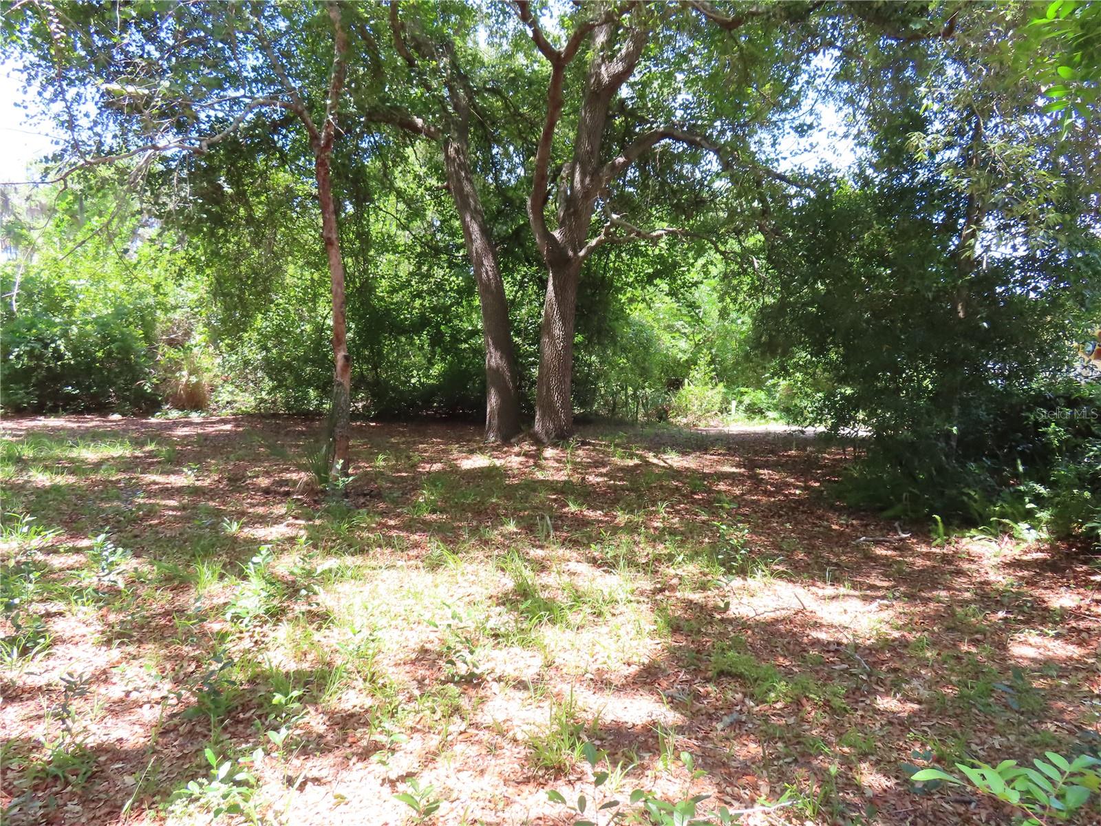 MAYO, CRYSTAL BEACH, FL, 34681