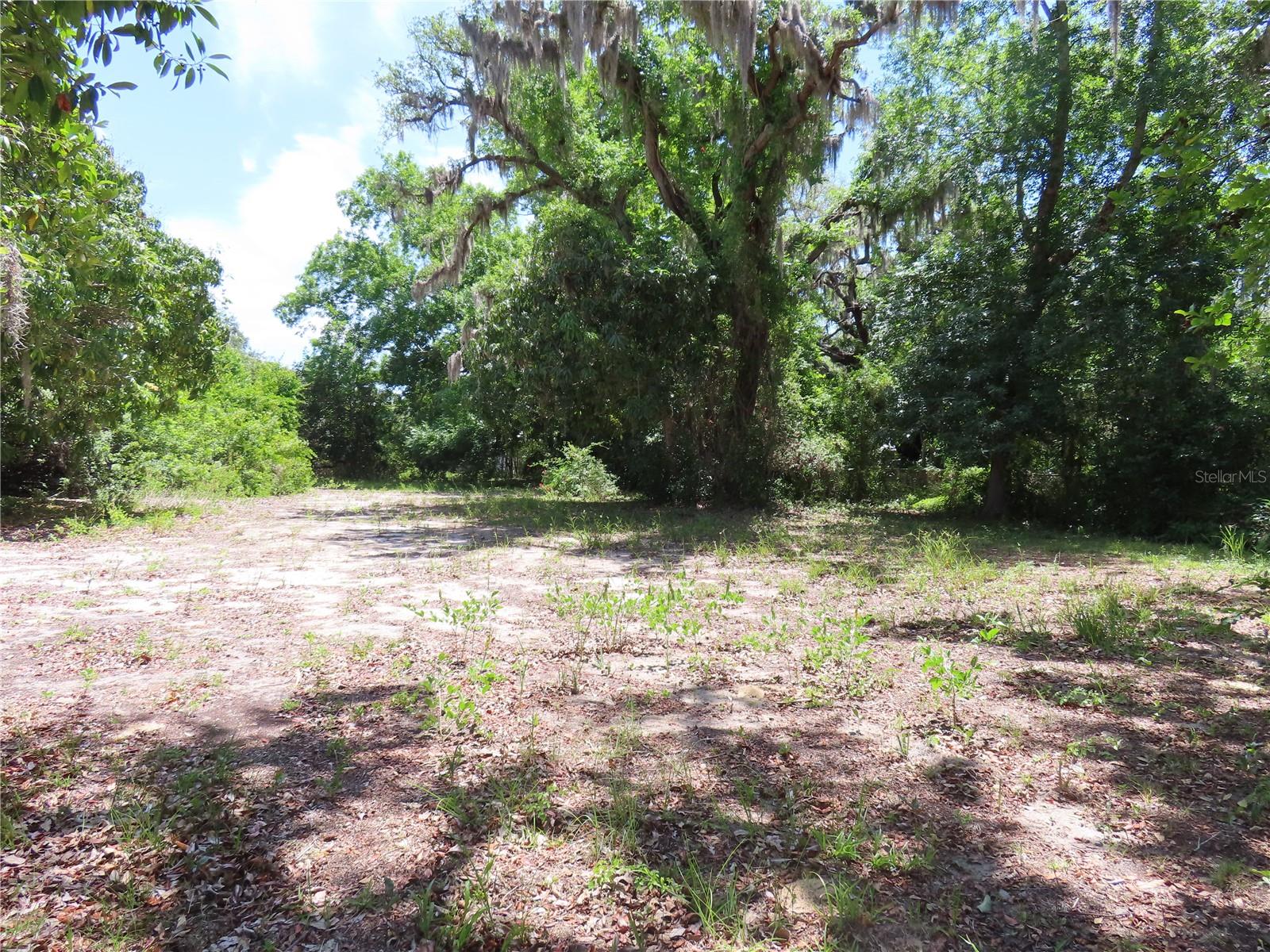 MAYO, CRYSTAL BEACH, FL, 34681