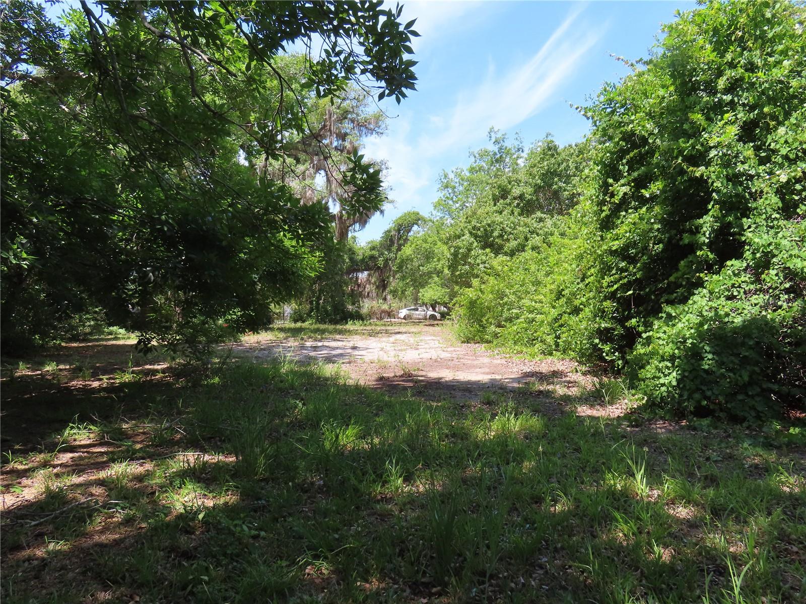 MAYO, CRYSTAL BEACH, FL, 34681