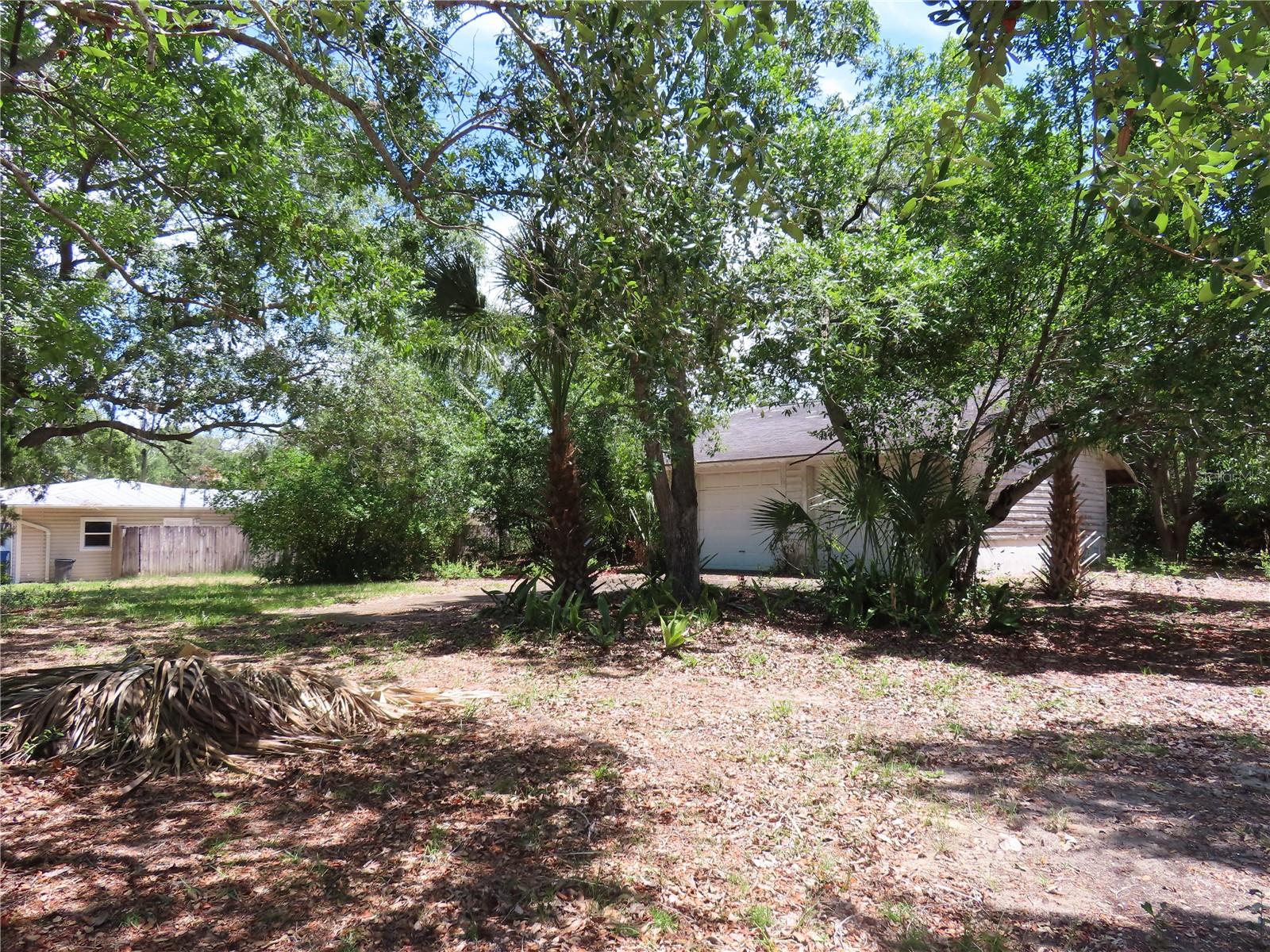 MAYO, CRYSTAL BEACH, FL, 34681