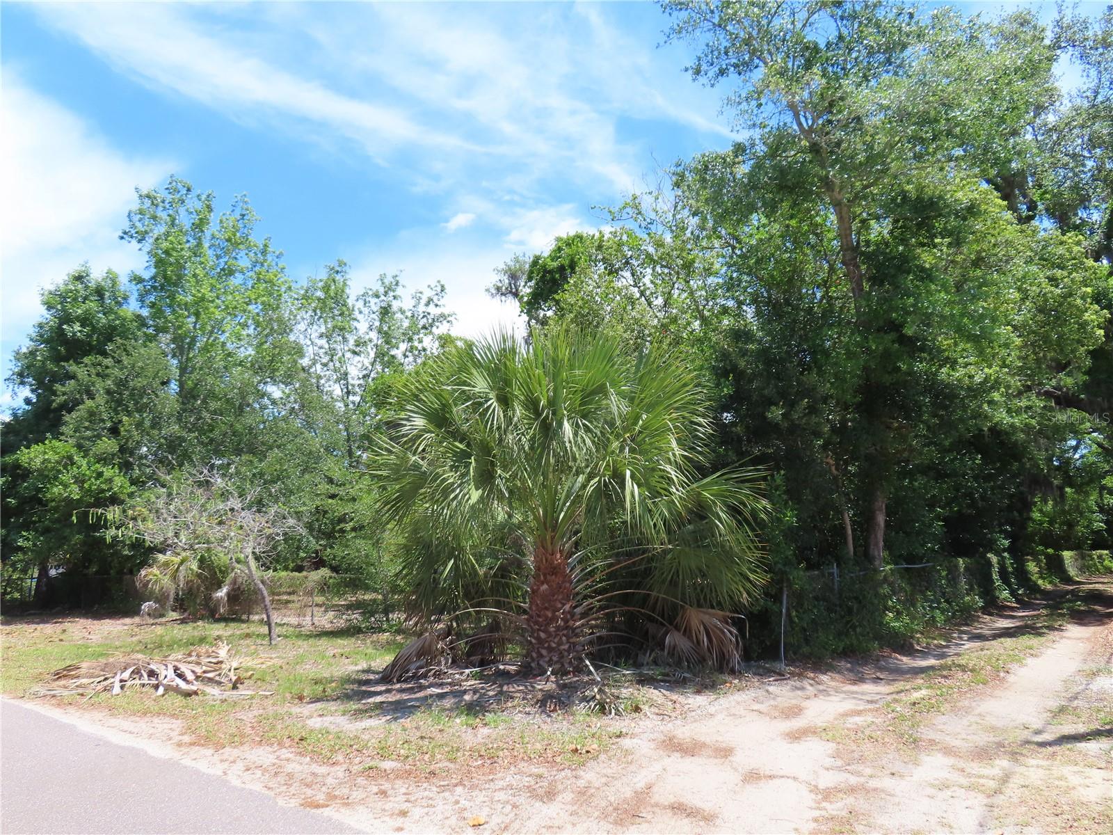 MAYO, CRYSTAL BEACH, FL, 34681