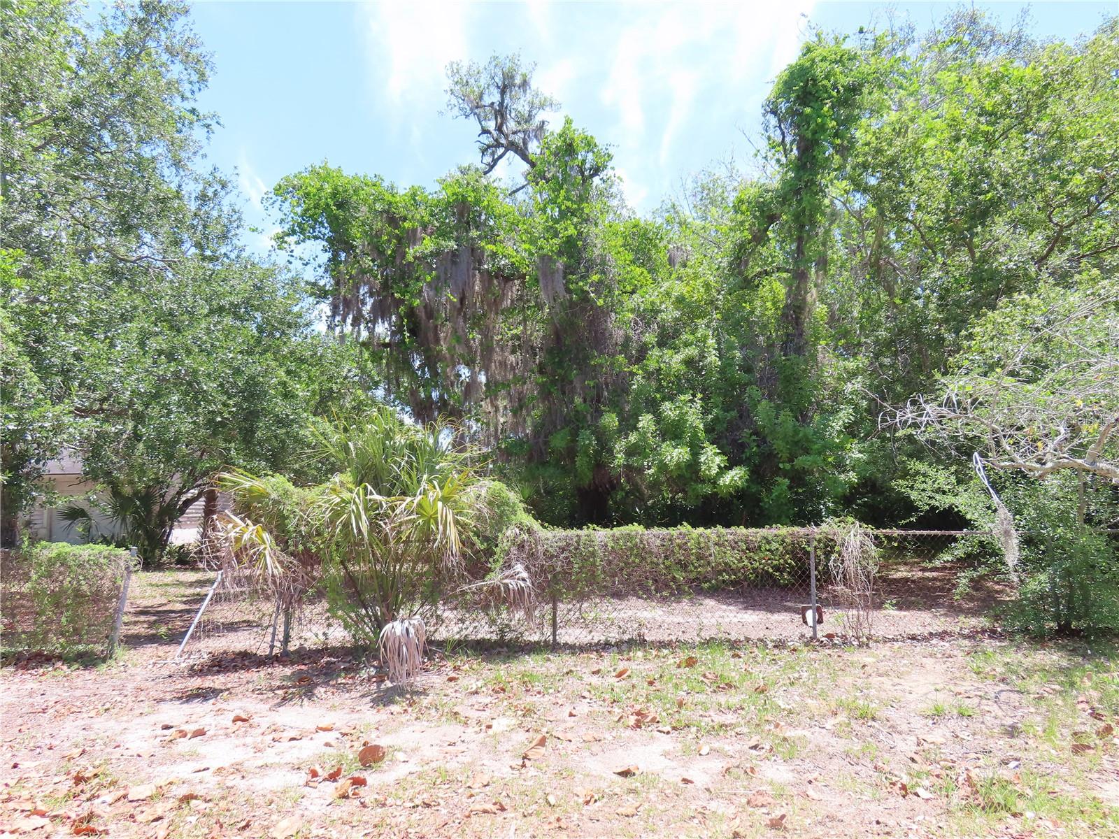 MAYO, CRYSTAL BEACH, FL, 34681