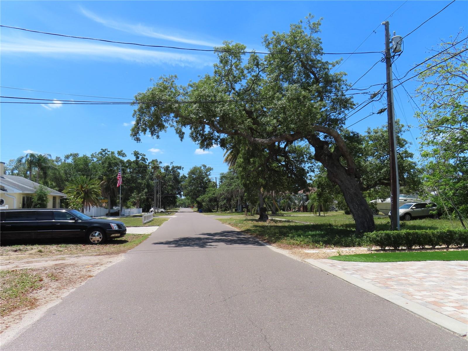 MAYO, CRYSTAL BEACH, FL, 34681