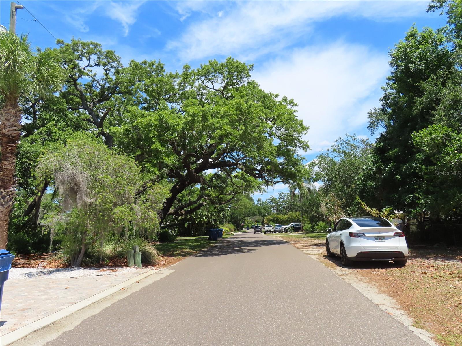 MAYO, CRYSTAL BEACH, FL, 34681