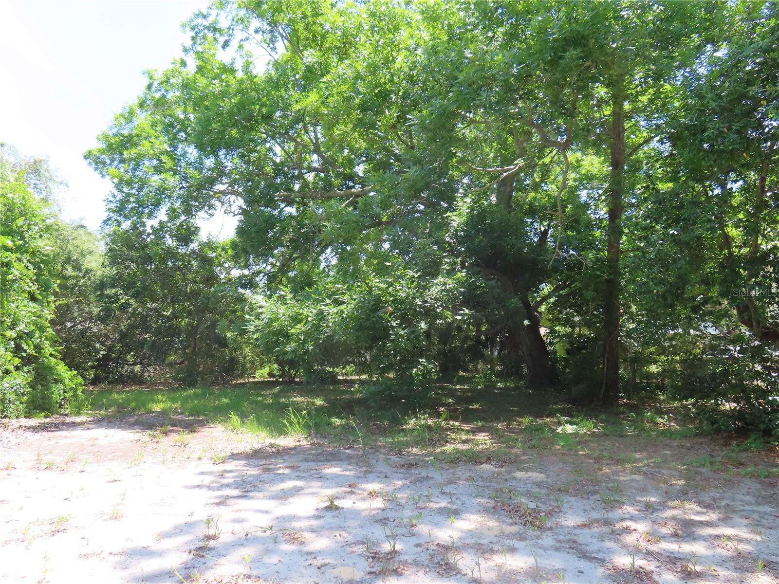 MAYO, CRYSTAL BEACH, FL, 34681