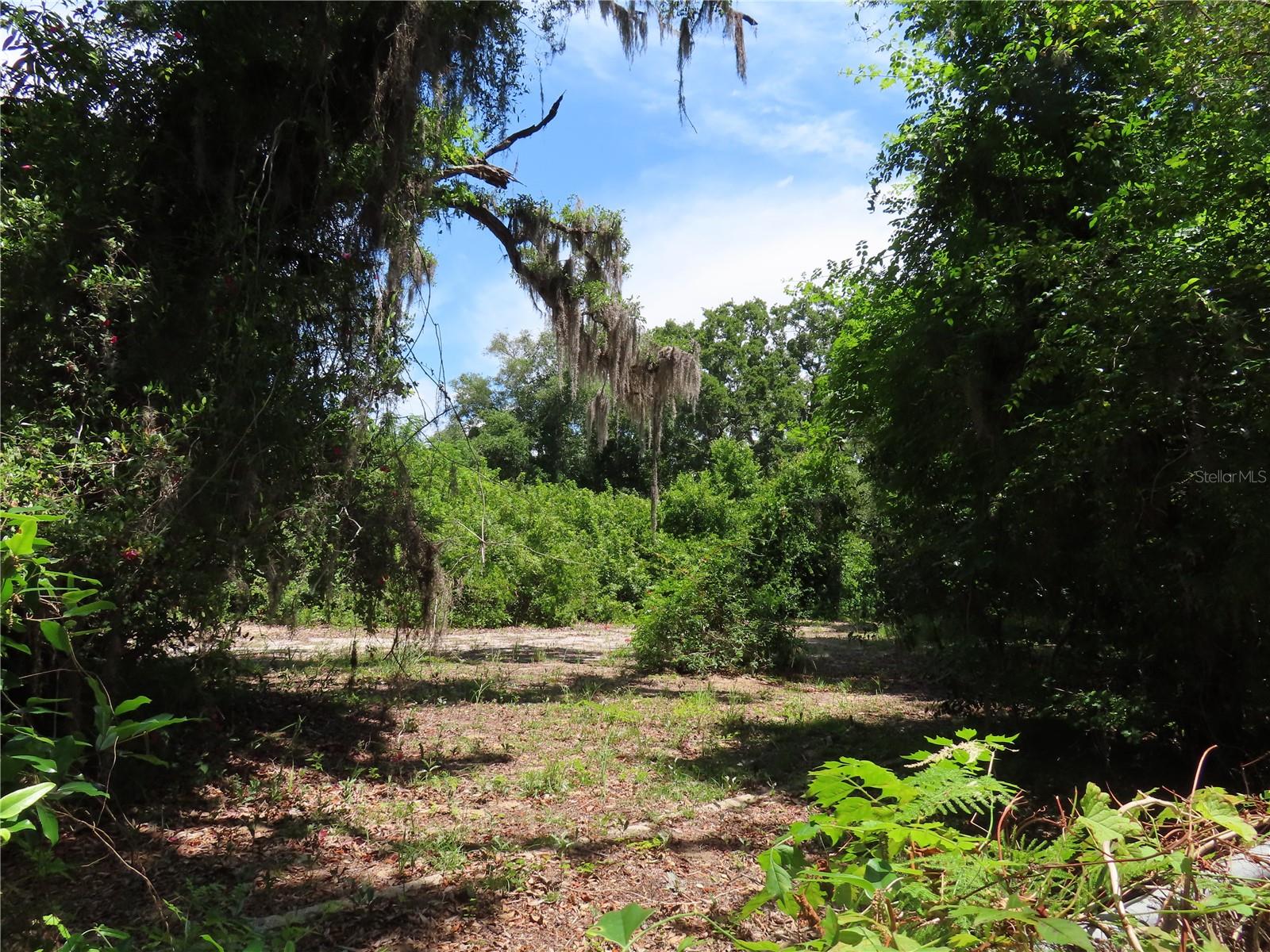 MAYO, CRYSTAL BEACH, FL, 34681