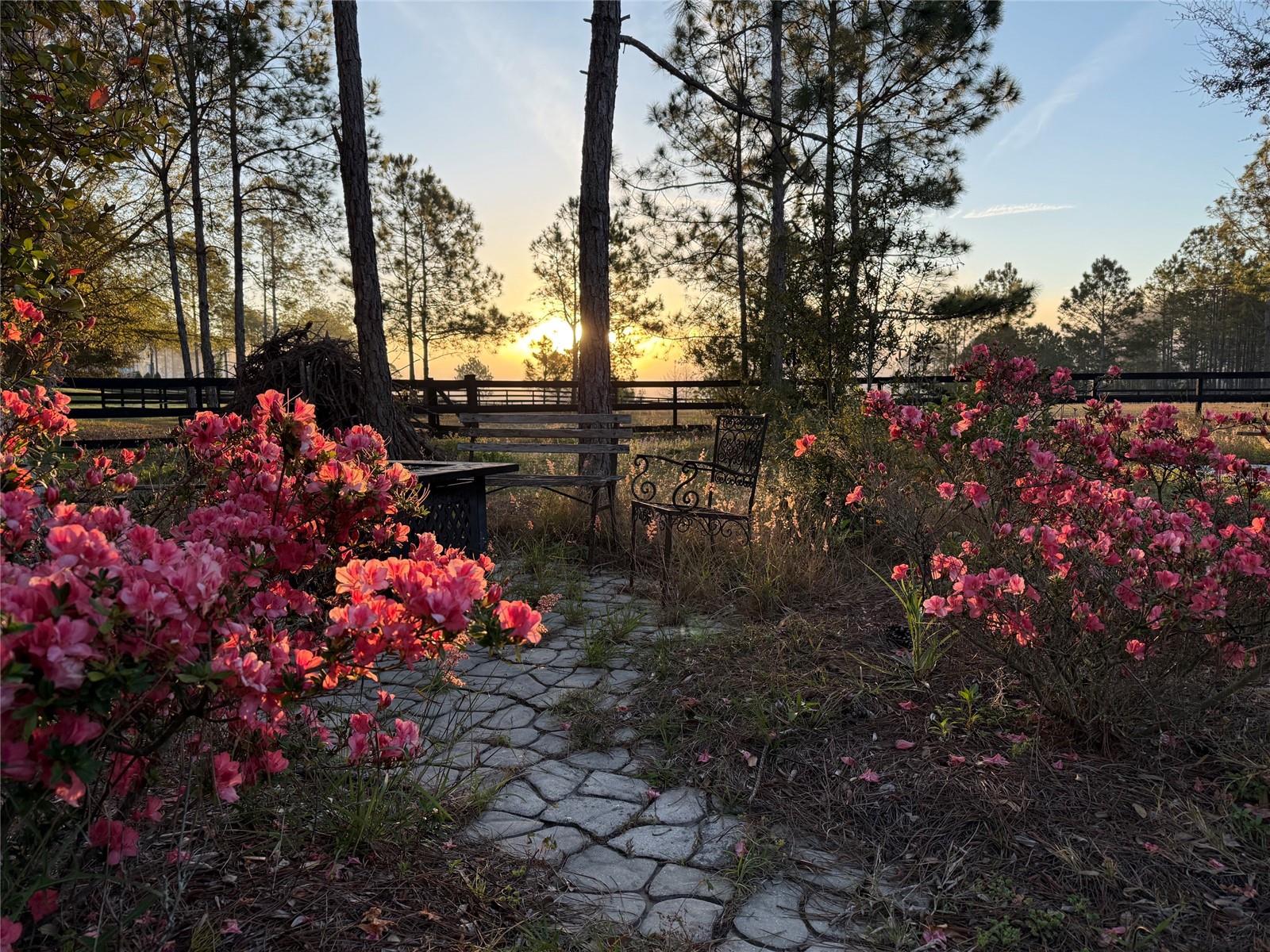 35620 PINEGATE TRL, EUSTIS, FL, 32736