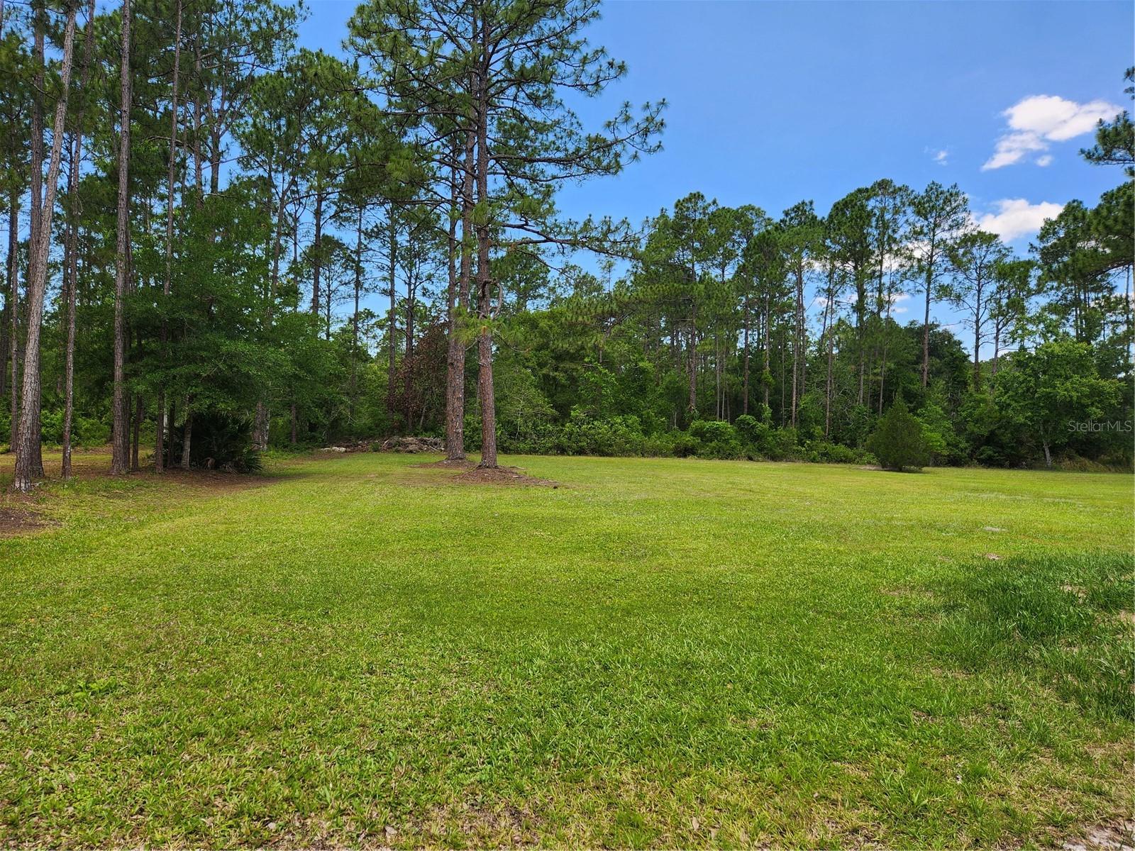 1112 AVOCADO BLVD, BUNNELL, FL, 32110