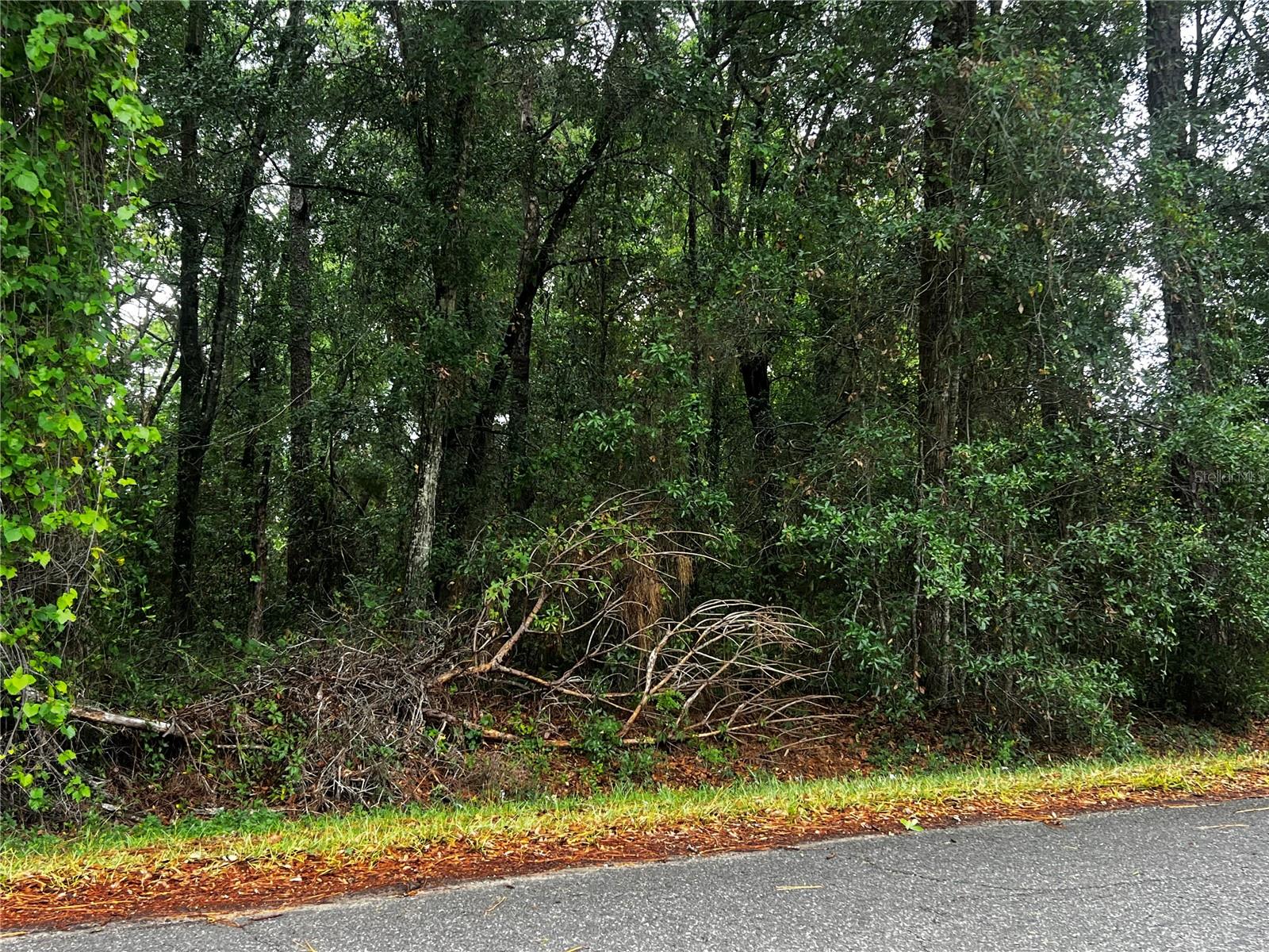 TBD NW 61ST LN., OCALA,, FL, 34482