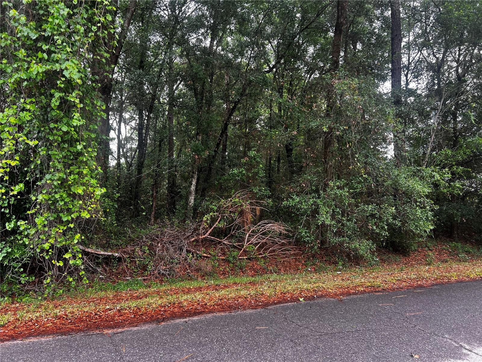TBD NW 61ST LN., OCALA,, FL, 34482