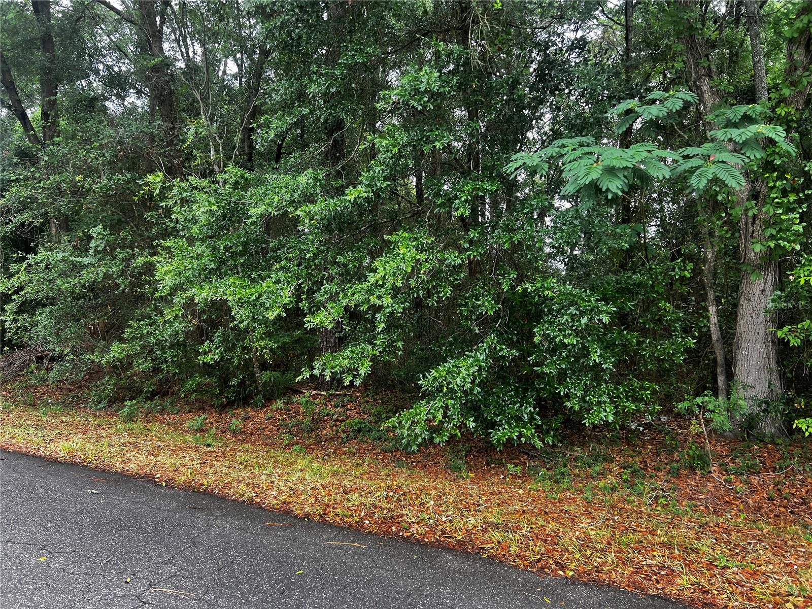 TBD NW 61ST LN., OCALA,, FL, 34482