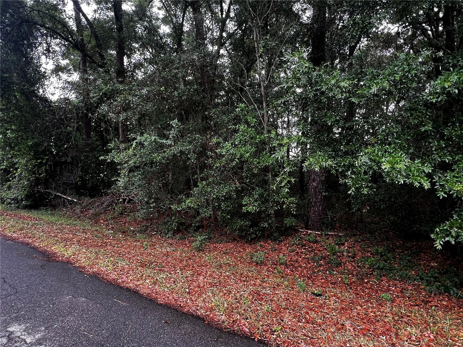 TBD NW 61ST LN., OCALA,, FL, 34482