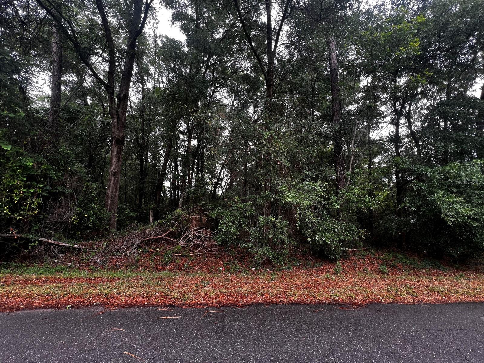 TBD NW 61ST LN., OCALA,, FL, 34482