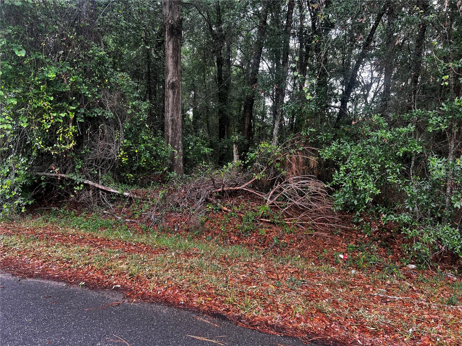 TBD NW 61ST LN., OCALA,, FL, 34482