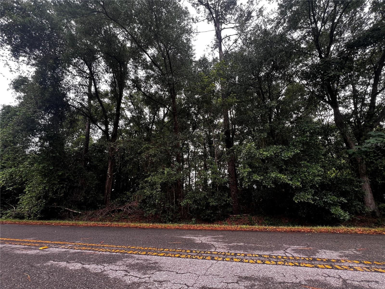 TBD NW 61ST LN., OCALA,, FL, 34482