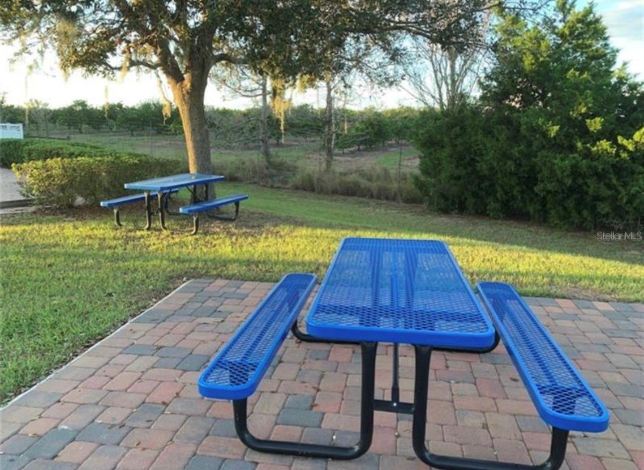15307 GRAND HAVEN, CLERMONT, FL, 34714