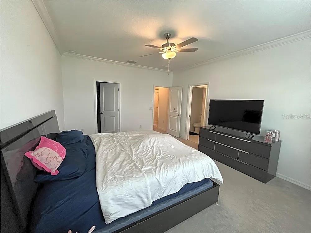 31751 BLUE PASSING LOOP, WESLEY CHAPEL, FL, 33545