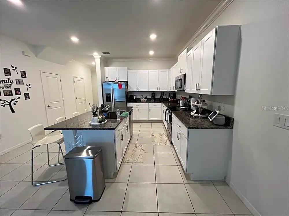 31751 BLUE PASSING LOOP, WESLEY CHAPEL, FL, 33545