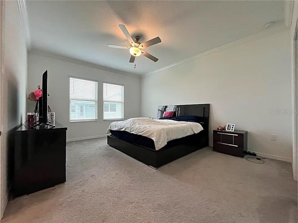 31751 BLUE PASSING LOOP, WESLEY CHAPEL, FL, 33545