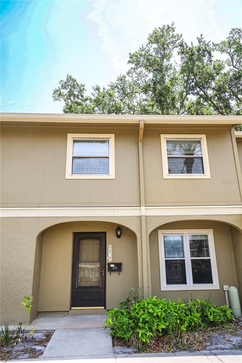7107 HERNANDO CT, TAMPA, FL, 33615