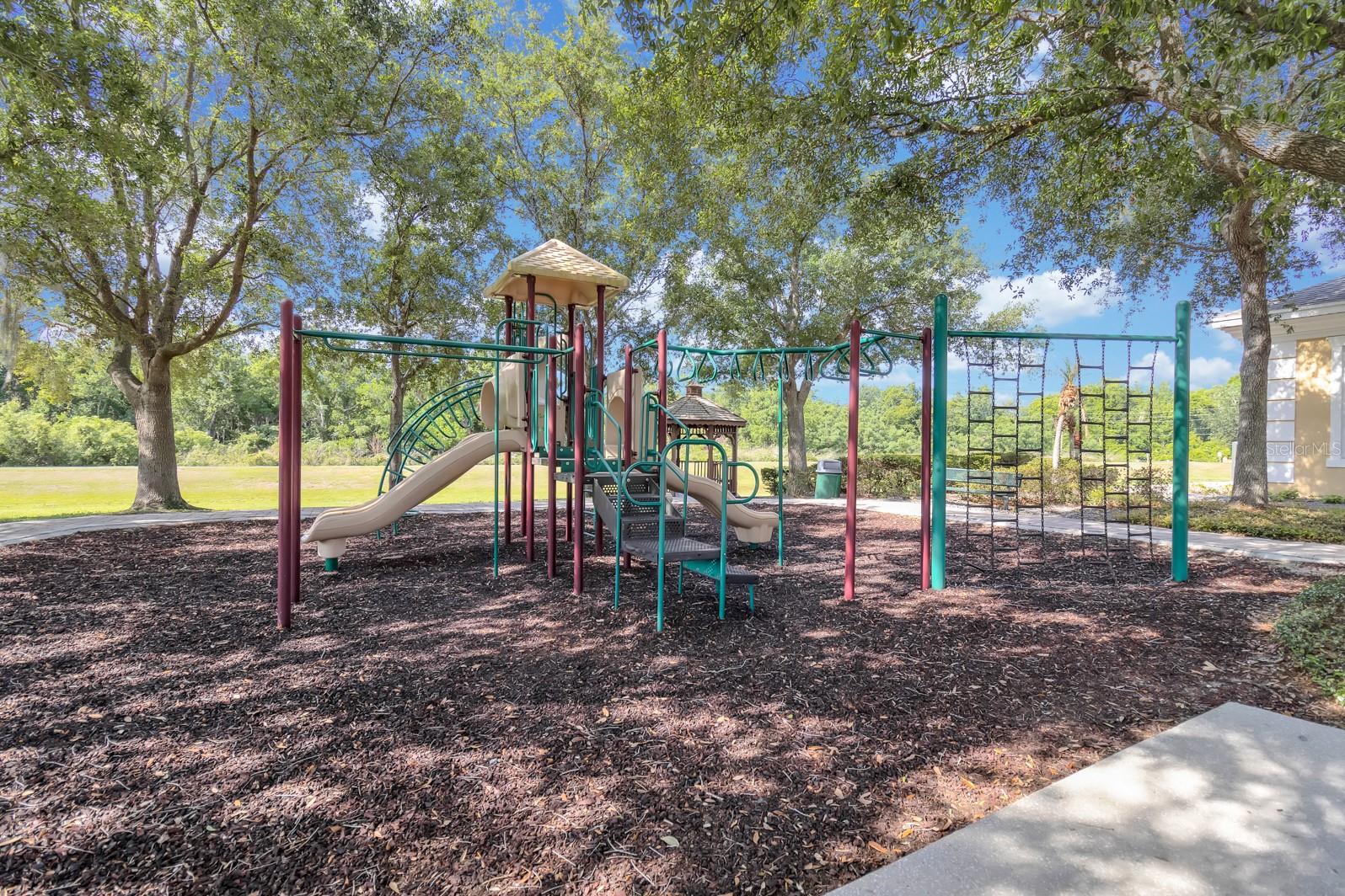 13527 DANIELS LANDING CIR, WINTER GARDEN, FL, 34787