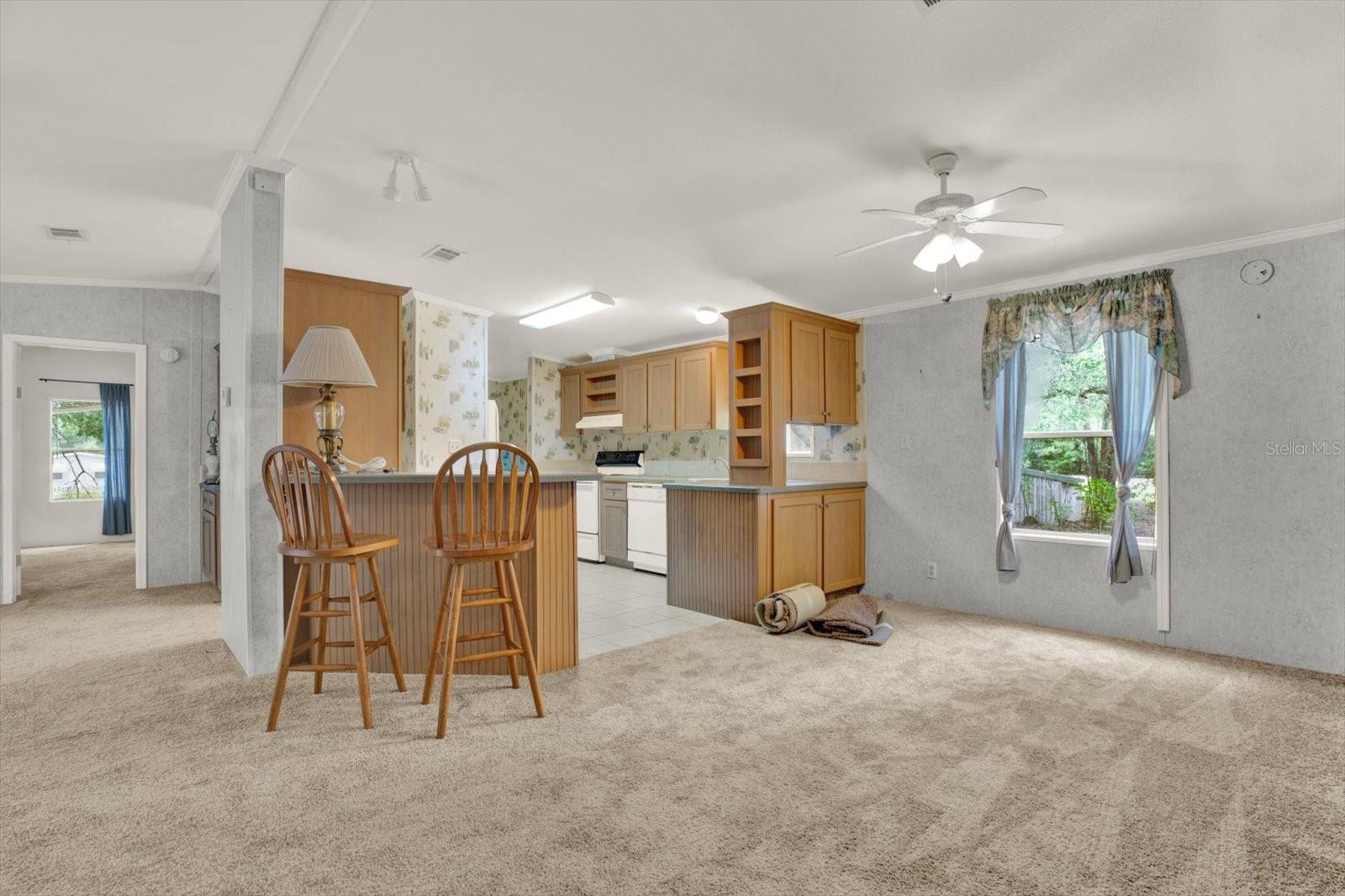 3804 PINTO LN, ZEPHYRHILLS, FL, 33541