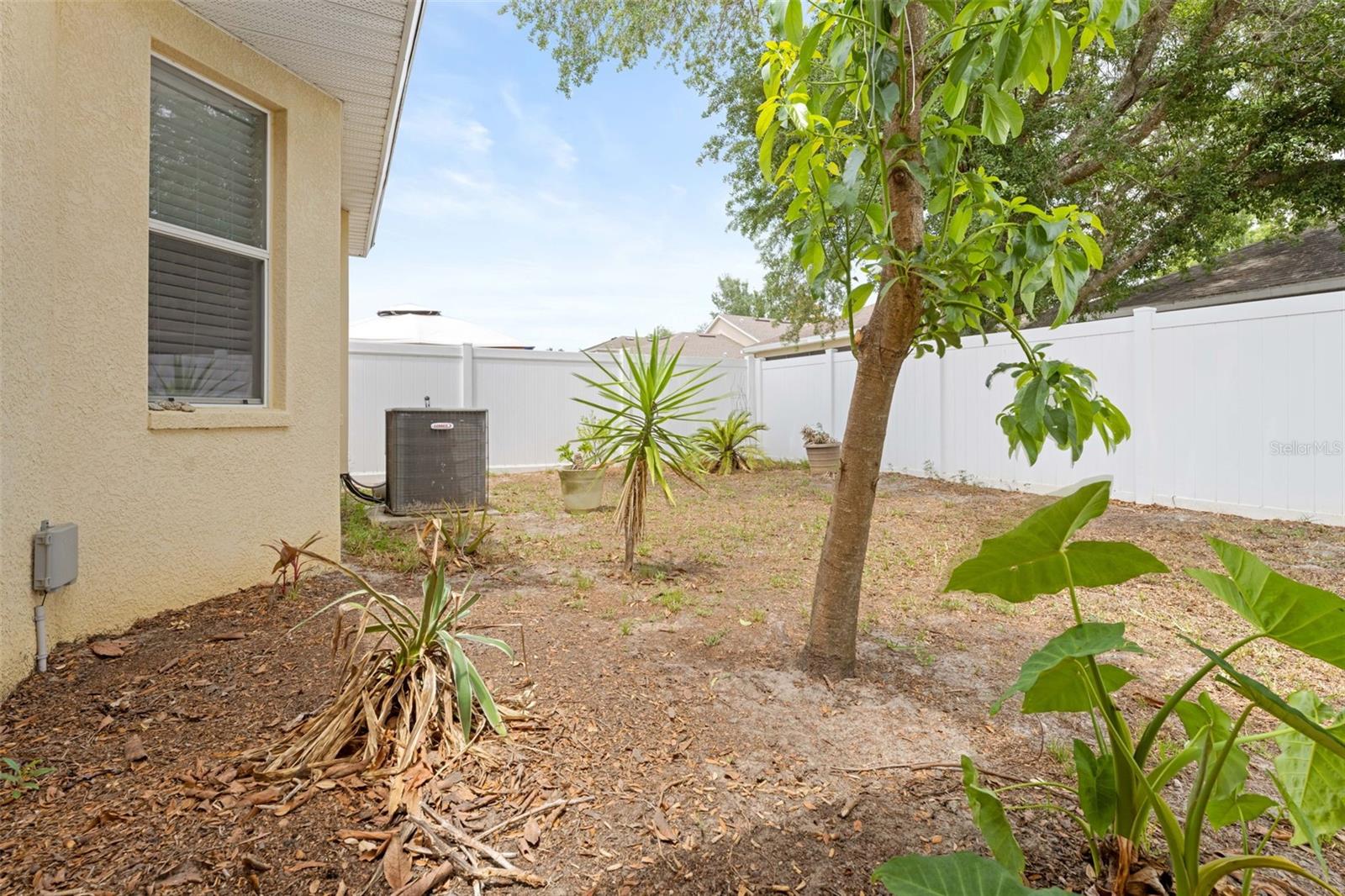 699 WINTHROP DR, SPRING HILL, FL, 34609