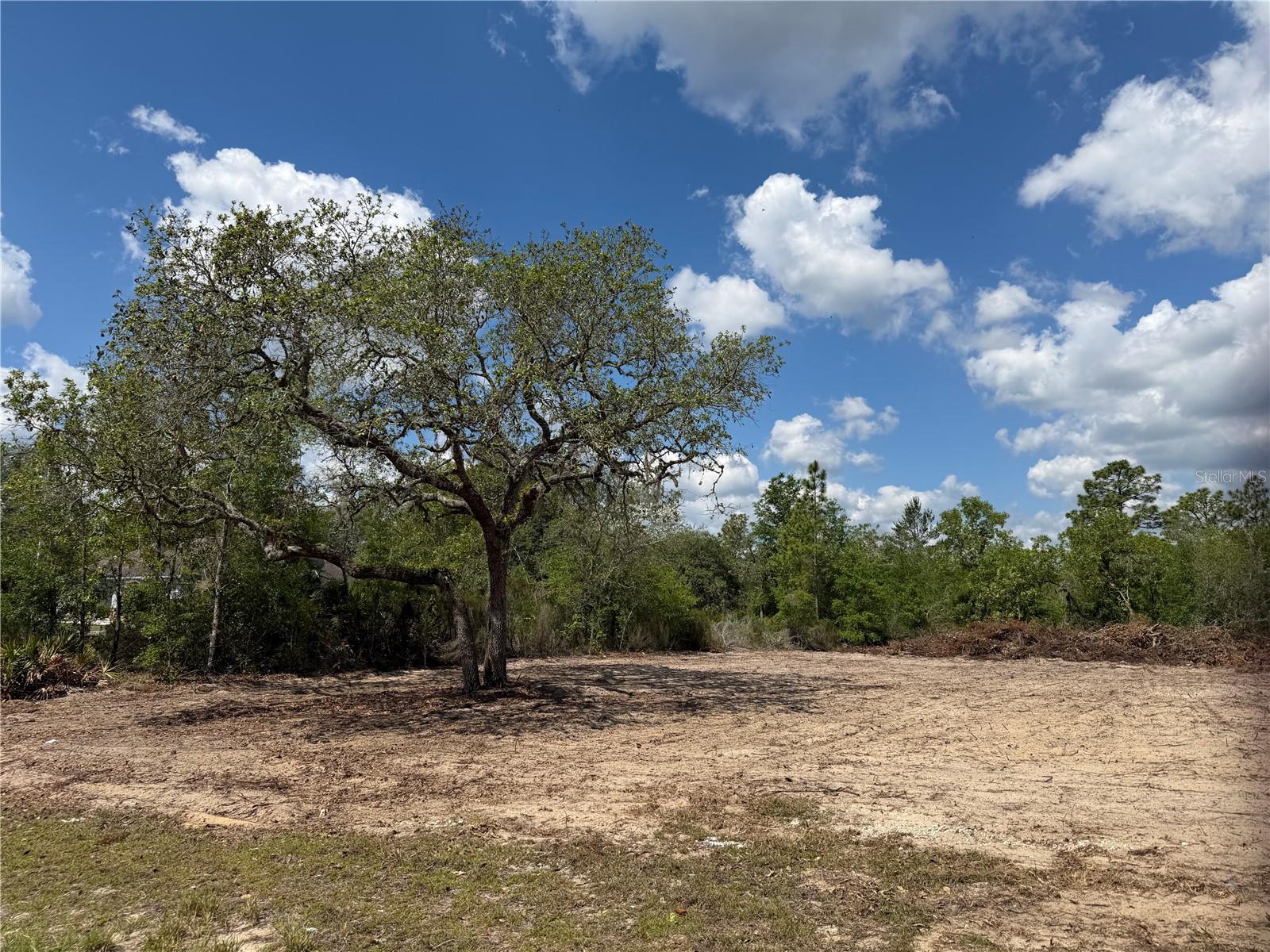 TBD NE 105TH AVE, BRONSON, FL, 32621