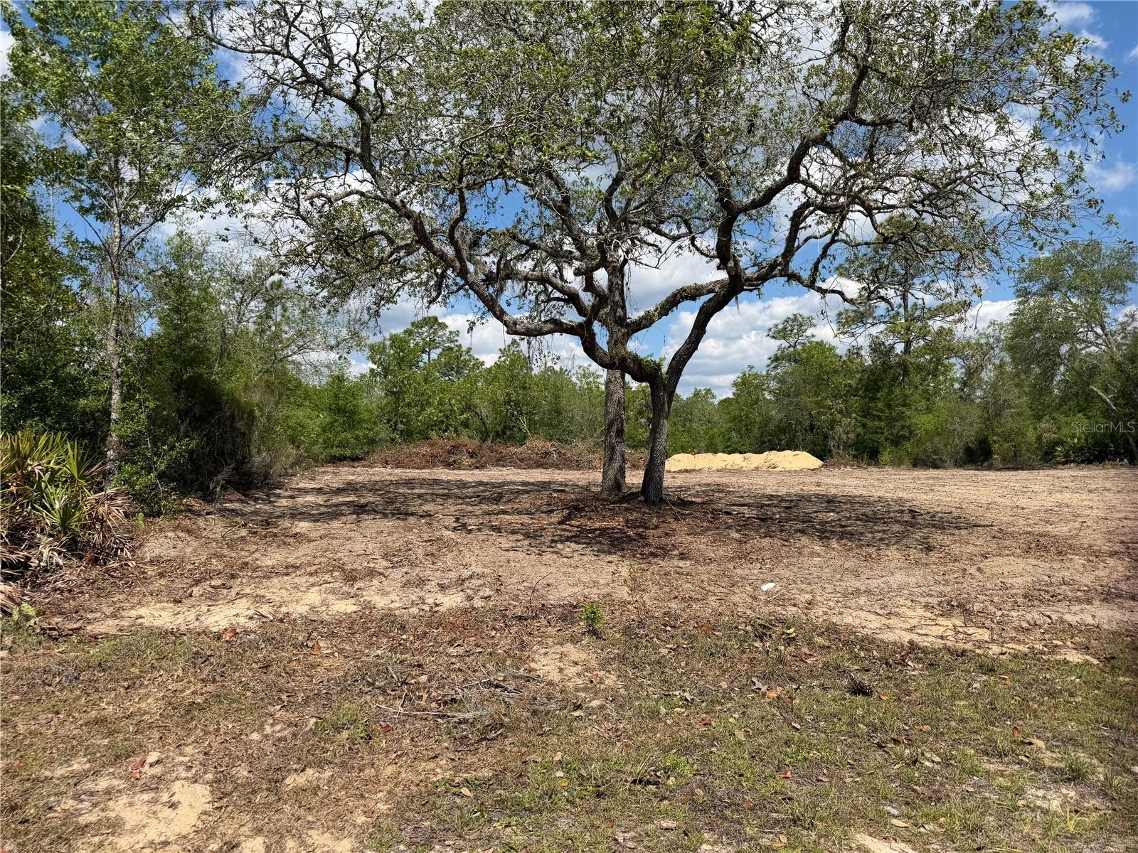 TBD NE 105TH AVE, BRONSON, FL, 32621