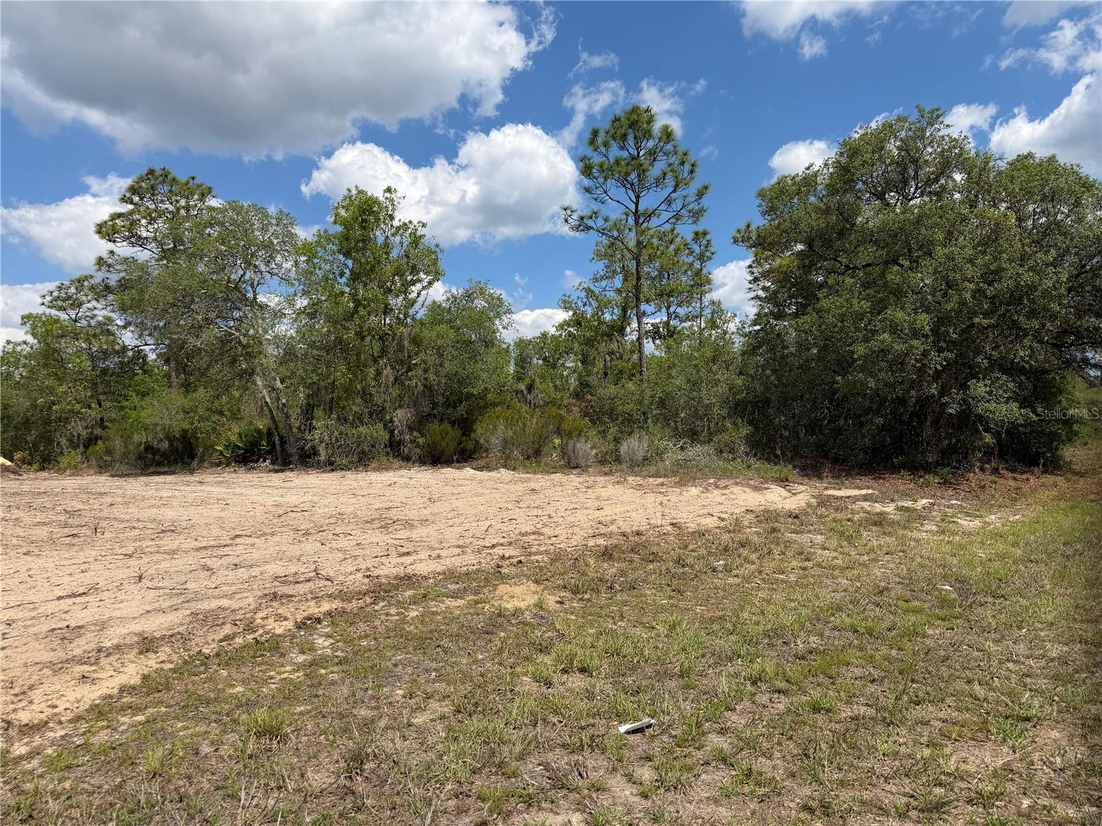 TBD NE 105TH AVE, BRONSON, FL, 32621