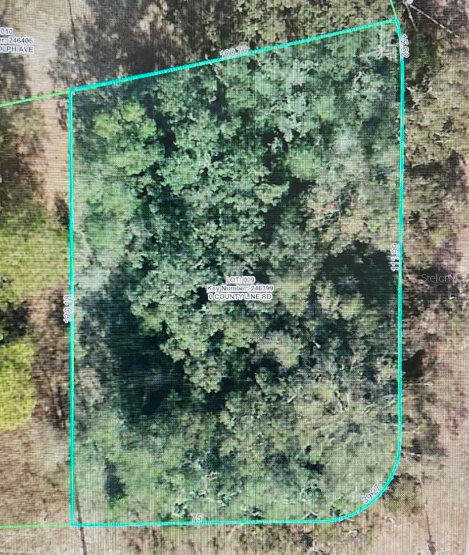 8093 COUNTY LINE RD, SPRING HILL, FL, 34606