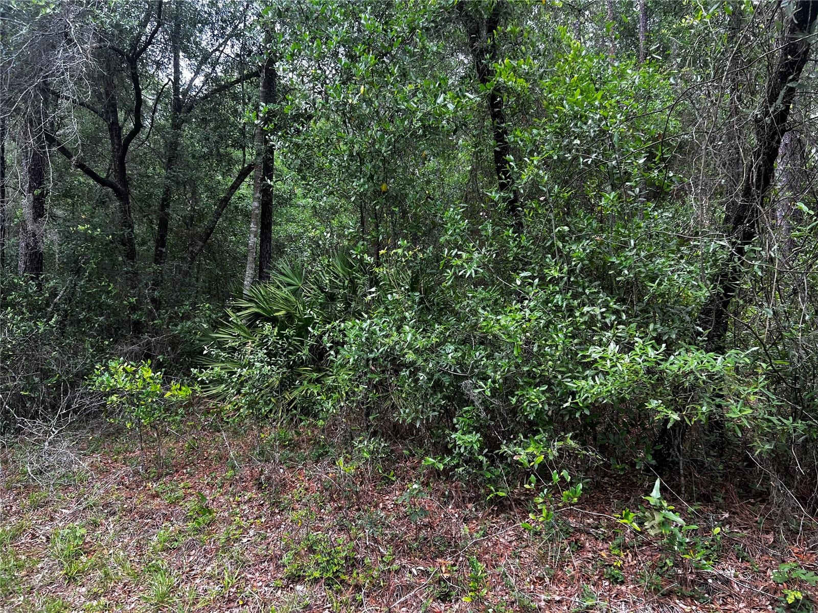 TBD SW 186TH CT., DUNNELLON, FL, 34432
