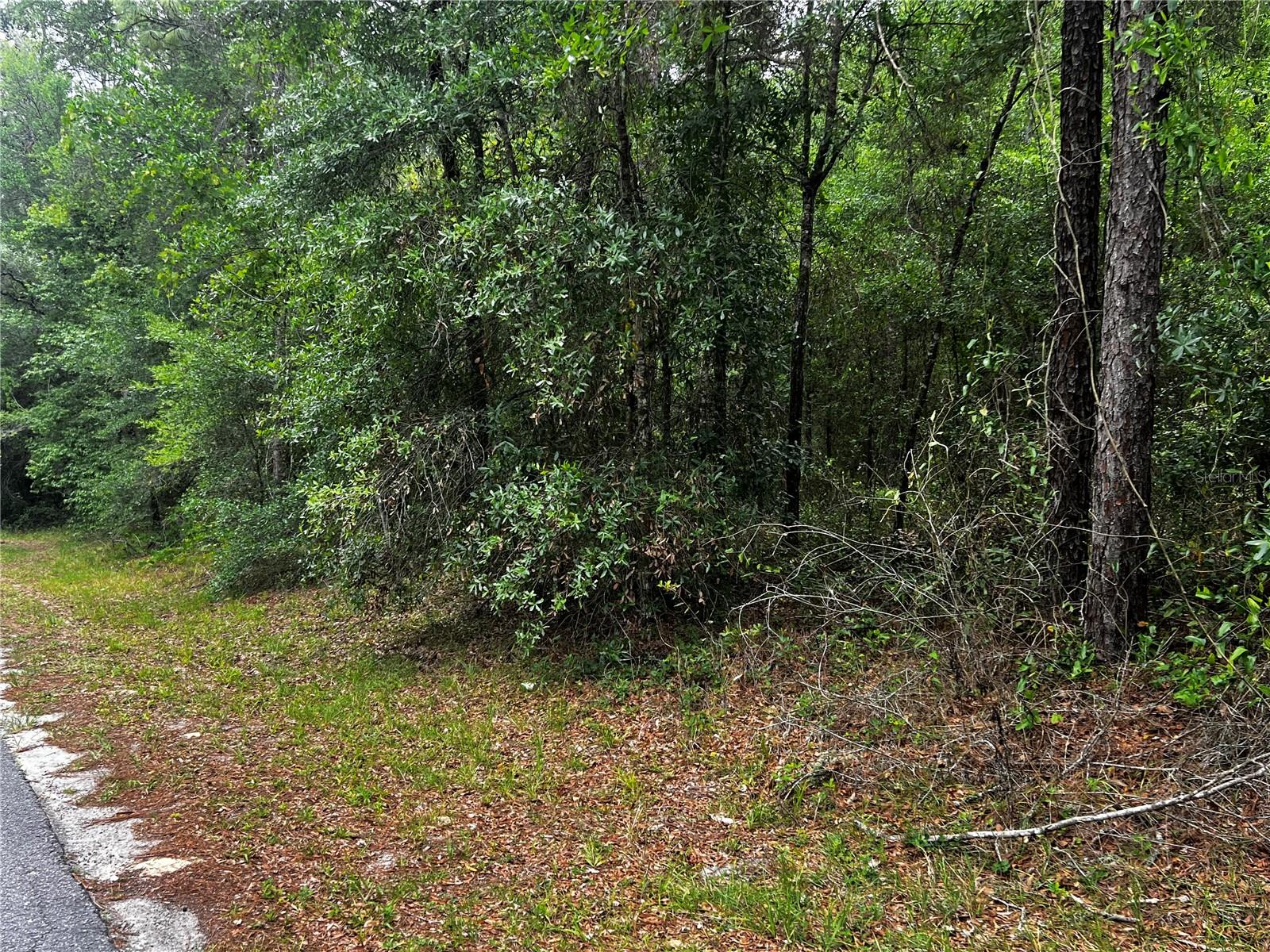 TBD SW 186TH CT., DUNNELLON, FL, 34432