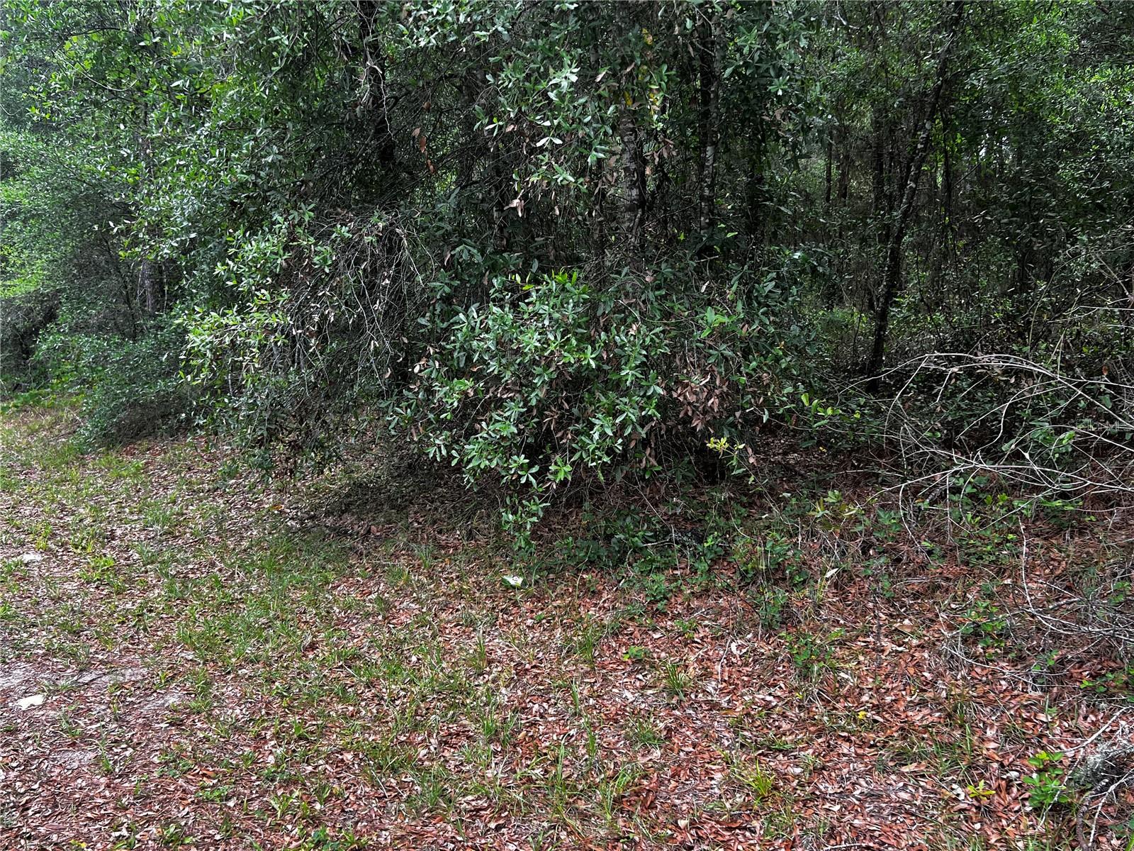 TBD SW 186TH CT., DUNNELLON, FL, 34432
