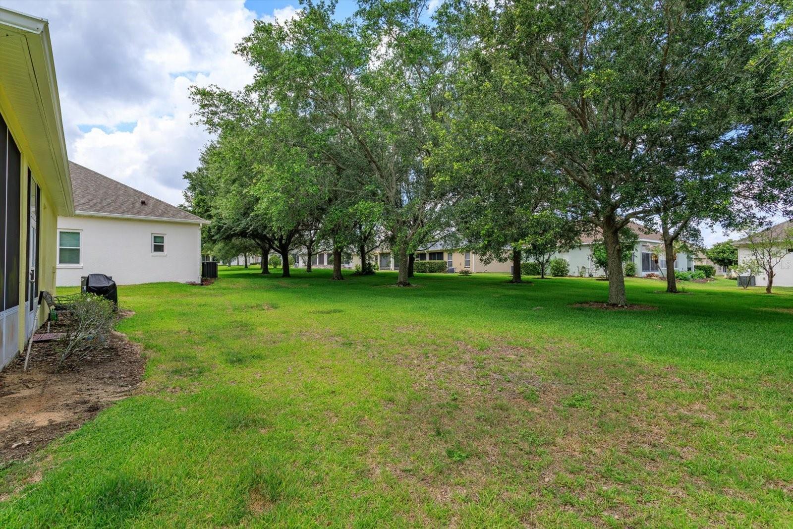 25206 ORMOND CT, LEESBURG, FL, 34748