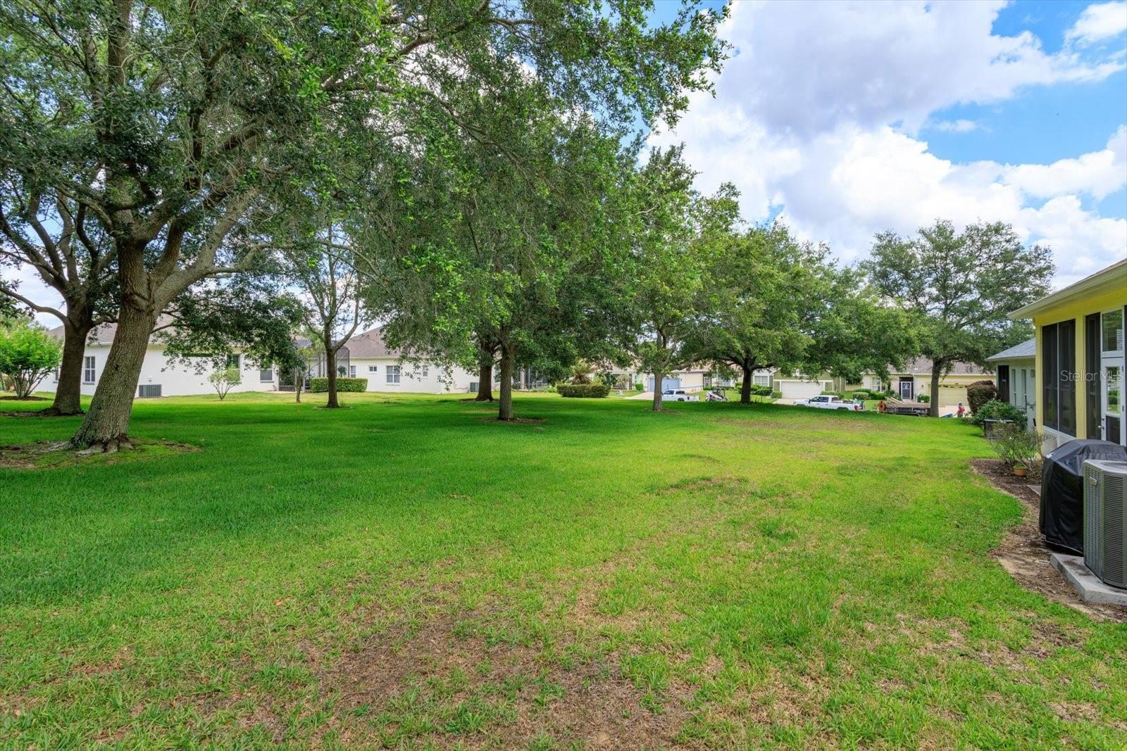 25206 ORMOND CT, LEESBURG, FL, 34748