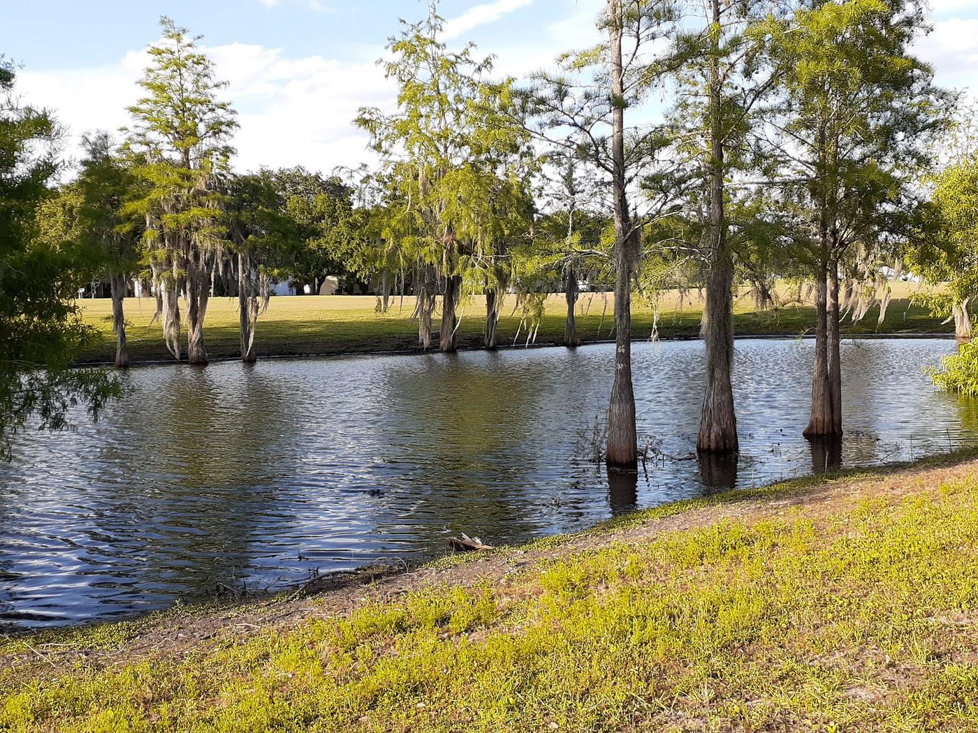 25206 ORMOND CT, LEESBURG, FL, 34748