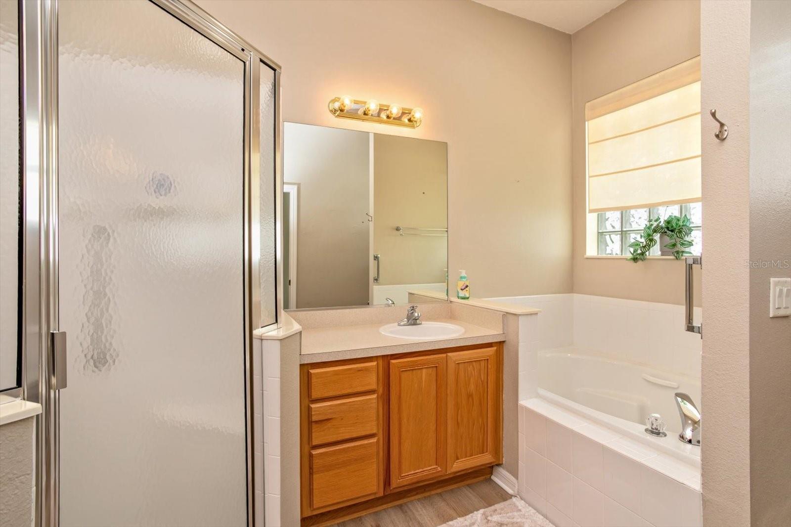 25206 ORMOND CT, LEESBURG, FL, 34748