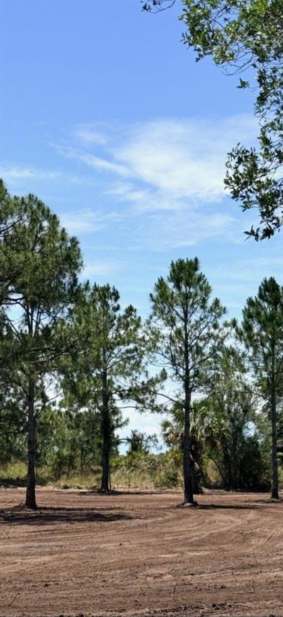 17926 NW 250TH ST, OKEECHOBEE, FL, 34972