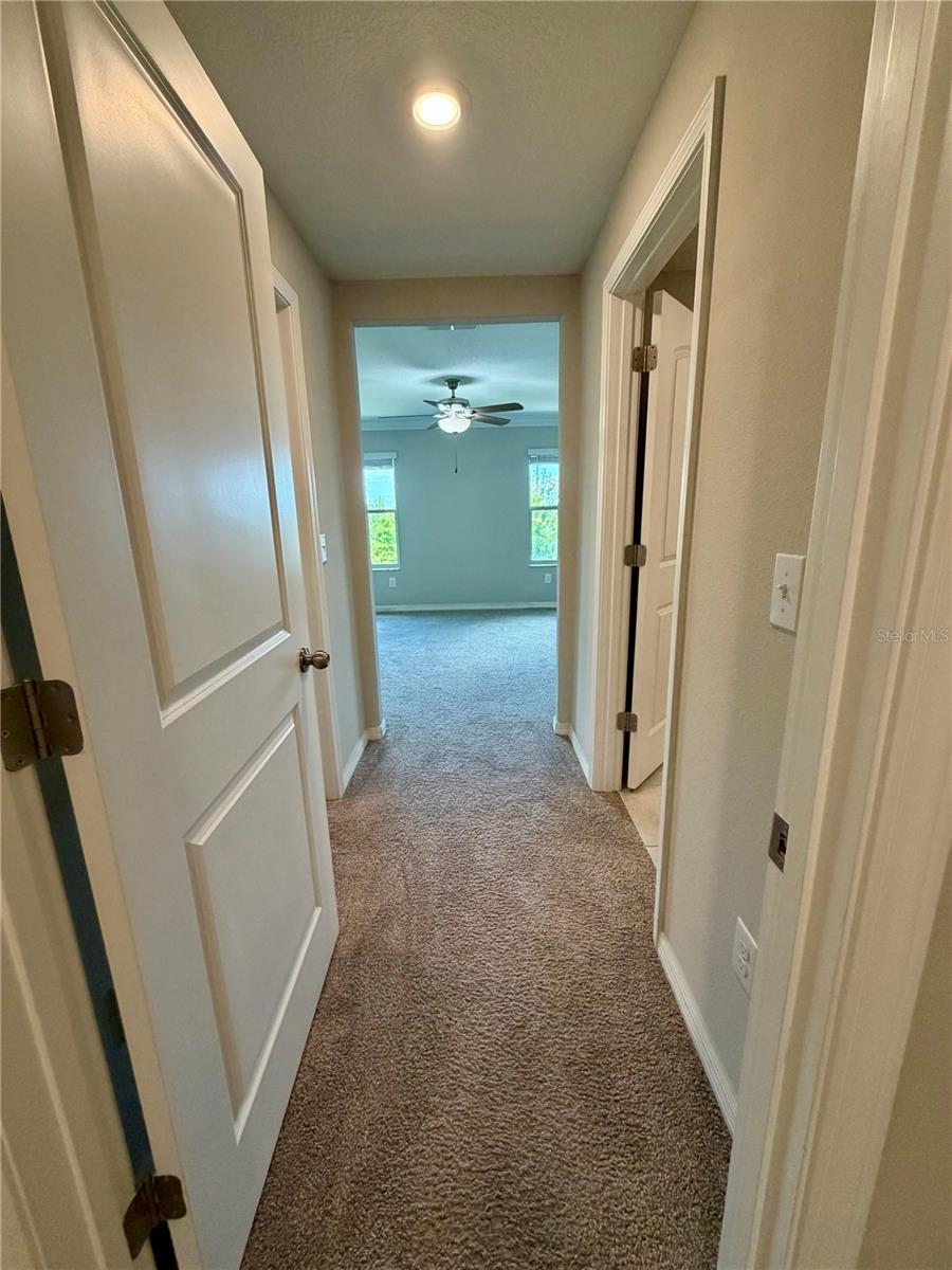 11826 DUMAINE VALLEY RD, RIVERVIEW, FL, 33579