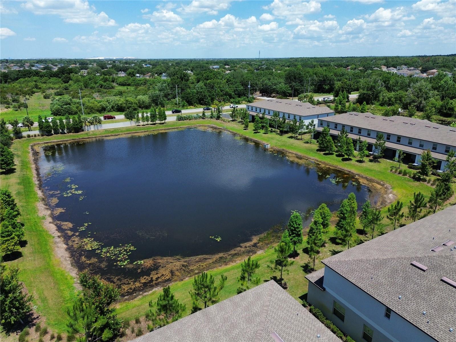 11826 DUMAINE VALLEY RD, RIVERVIEW, FL, 33579