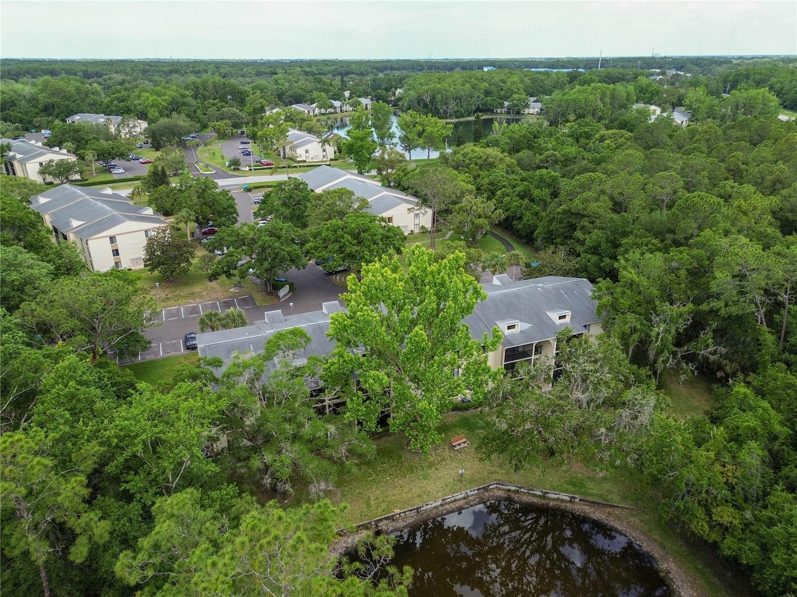 3232 LAKE PINE WAY E #F3, TARPON SPRINGS, FL, 34688