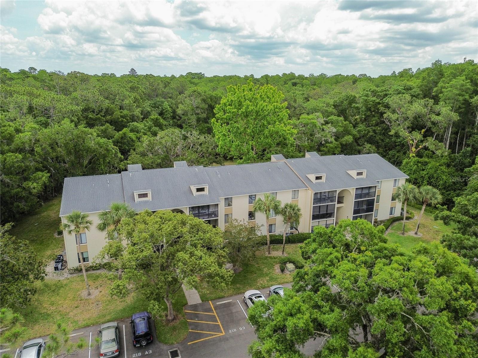 3232 LAKE PINE WAY E #F3, TARPON SPRINGS, FL, 34688