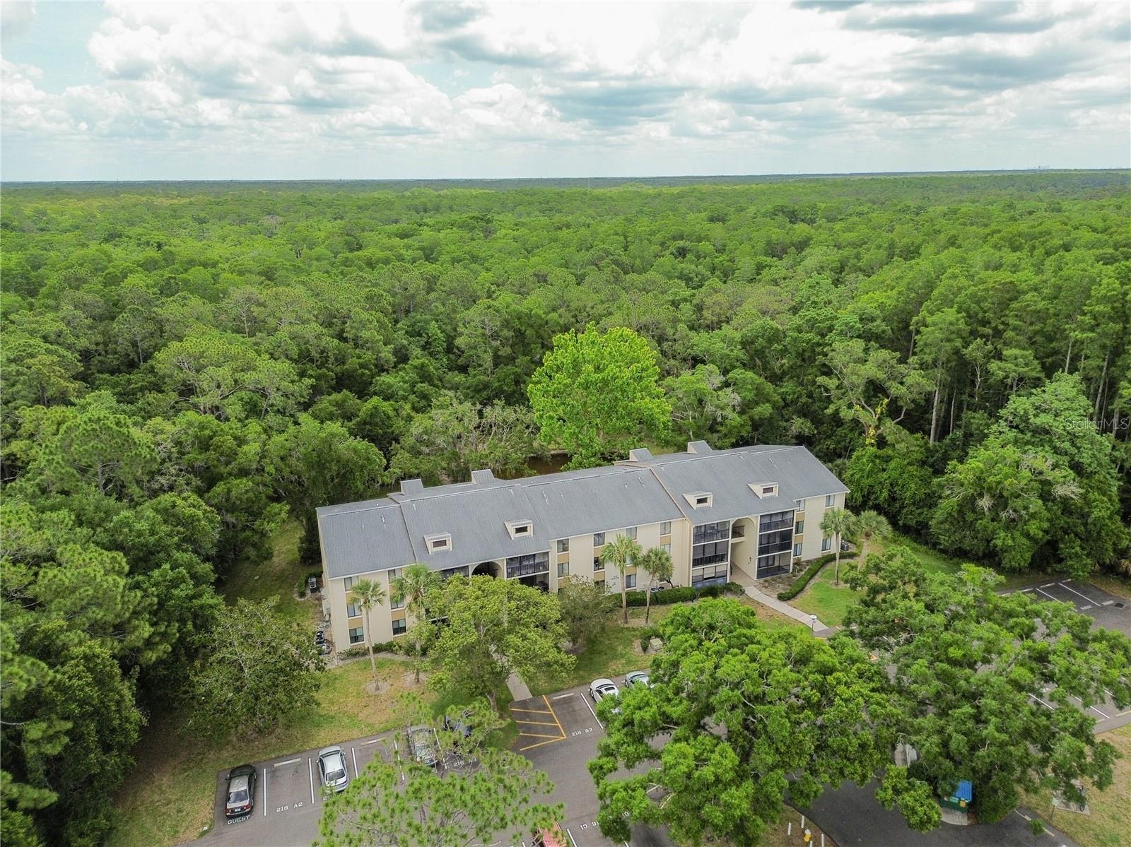 3232 LAKE PINE WAY E #F3, TARPON SPRINGS, FL, 34688