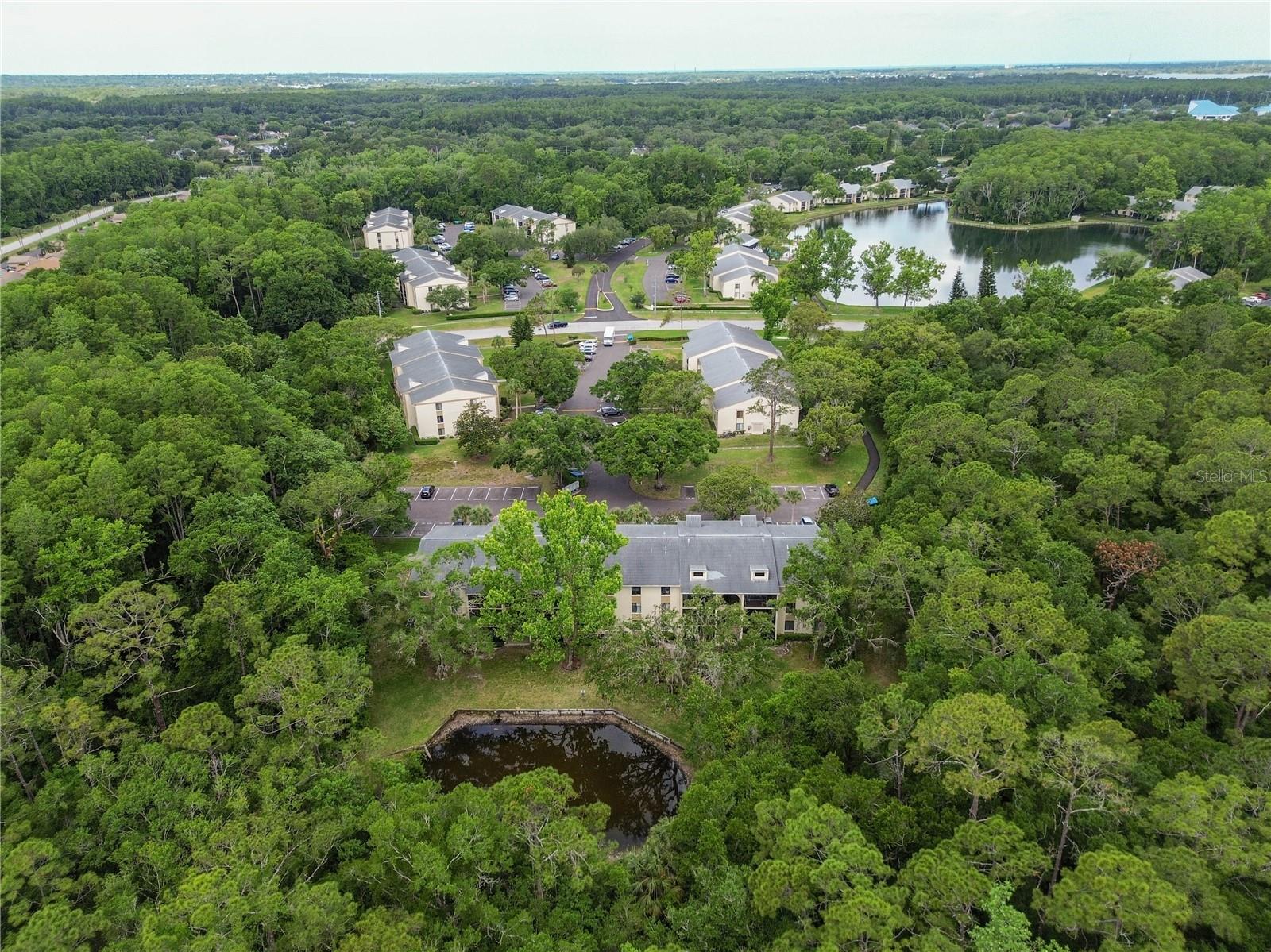 3232 LAKE PINE WAY E #F3, TARPON SPRINGS, FL, 34688