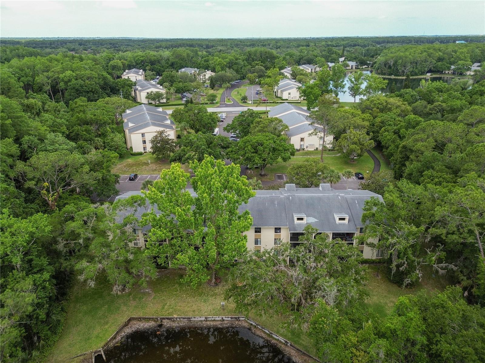 3232 LAKE PINE WAY E #F3, TARPON SPRINGS, FL, 34688