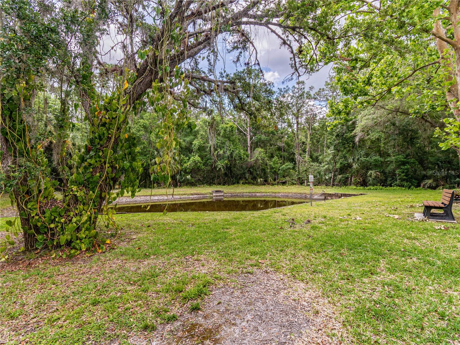 3232 LAKE PINE WAY E #F3, TARPON SPRINGS, FL, 34688